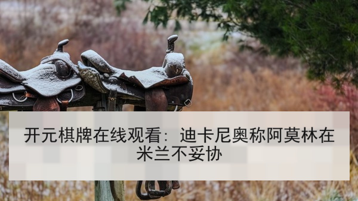 开元棋牌在线观看: 迪卡尼奥称阿莫林在米兰不妥协