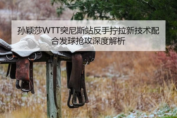 孙颖莎WTT突尼斯站反手拧拉新技术配合发球抢攻深度解析