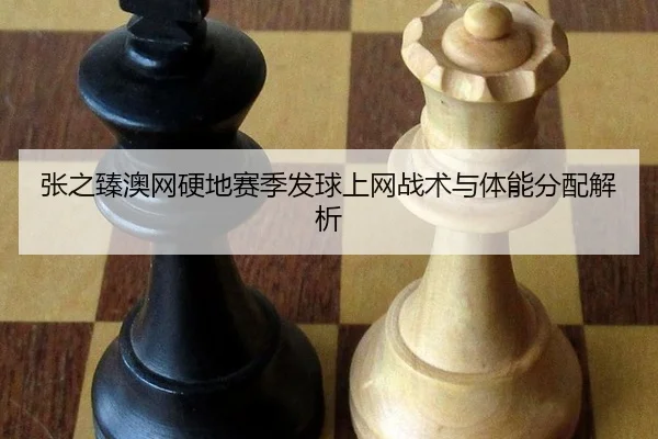 张之臻澳网硬地赛季发球上网战术与体能分配解析