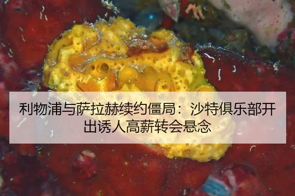 li-wu-pu-yu-sa-la-he-xu-yue-jiang-ju-sha-te-ju-le-bu-kai-chu-you-ren-gao-xin-zhuan-hui-xuan-nian-3-208.jpg