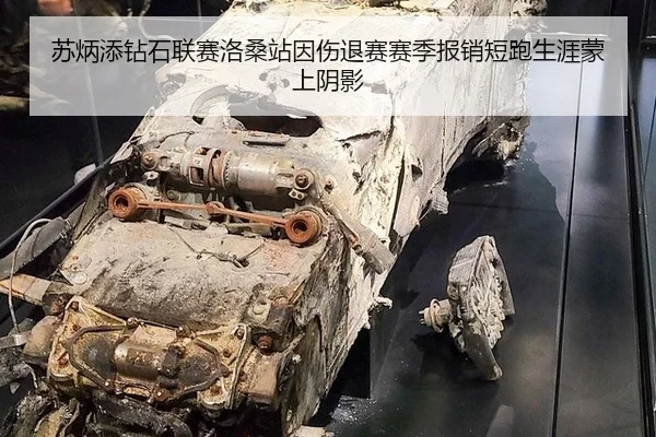 苏炳添钻石联赛洛桑站因伤退赛赛季报销短跑生涯蒙上阴影