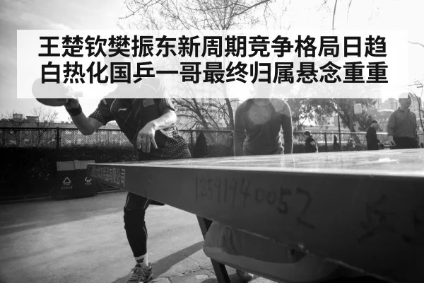Fan Zhendong table tennis