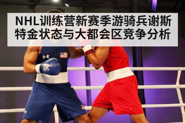 NHL训练营新赛季游骑兵谢斯特金状态与大都会区竞争分析
