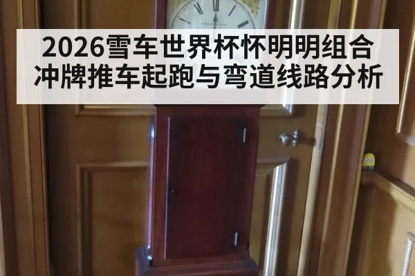 2026雪车世界杯怀明明组合冲牌推车起跑与弯道线路分析